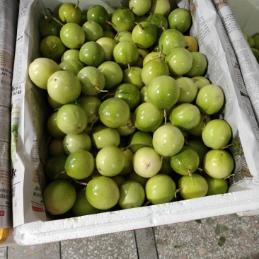 黄金百香果