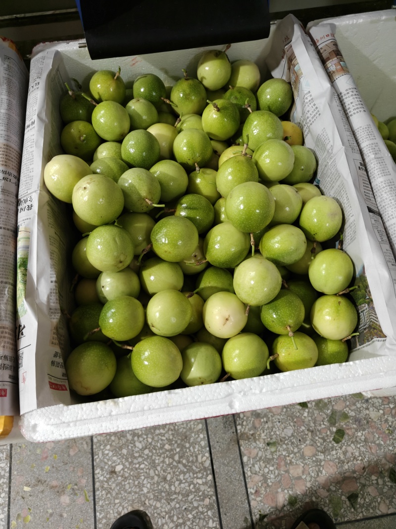 黄金百香果