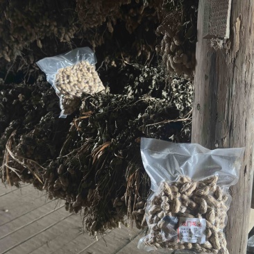 雅安芦山县龙门古镇土特产古法花生