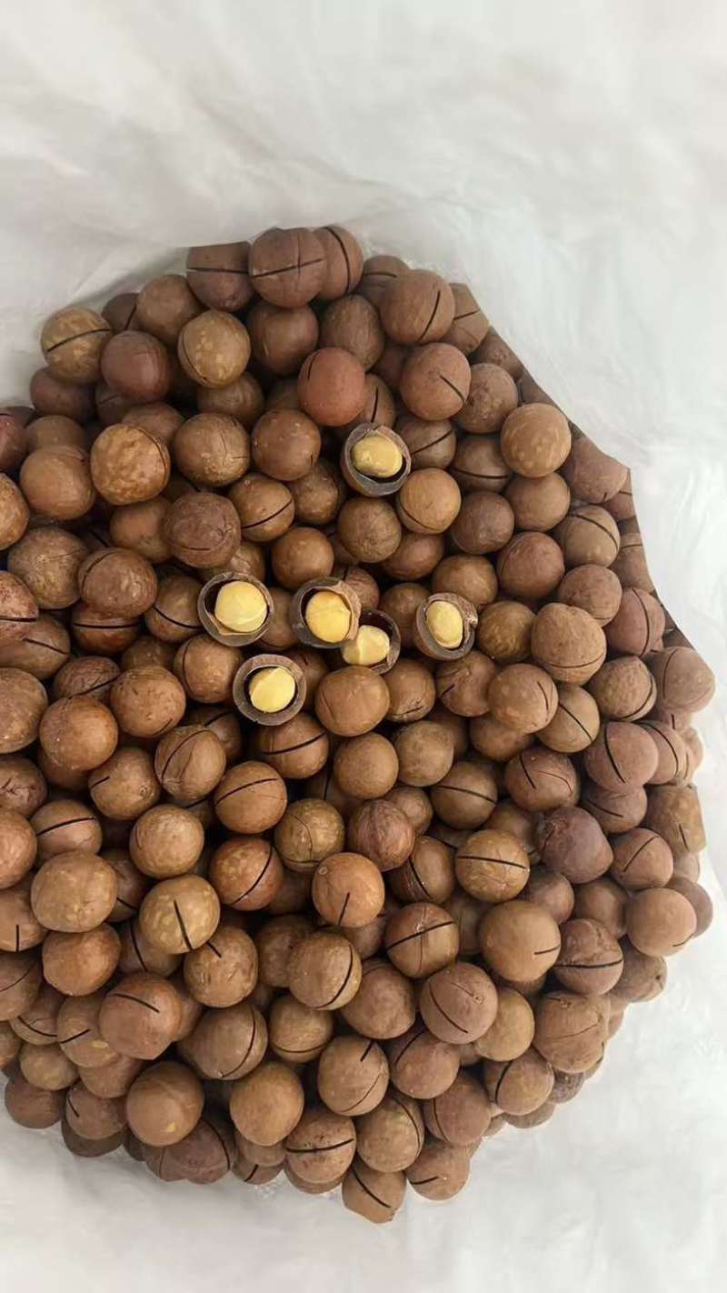 夏威夷果电商一件代发，量大无忧，欢迎全国各位老板实地考察