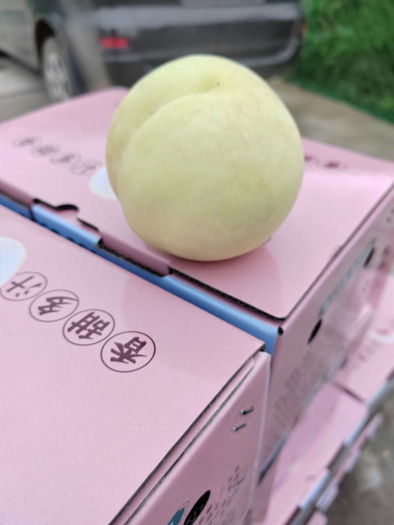 冬桃。