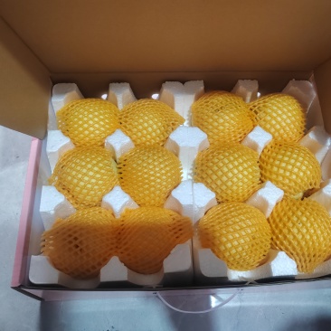 冬桃。