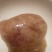 农家鸡宝