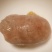 农家鸡宝