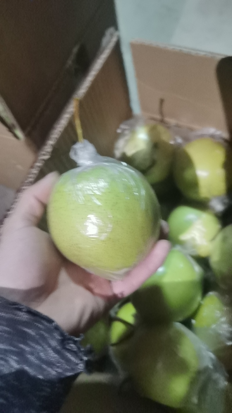 雪花梨