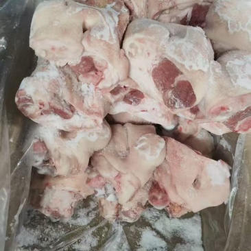 肥猪一级脚圈，25个左右