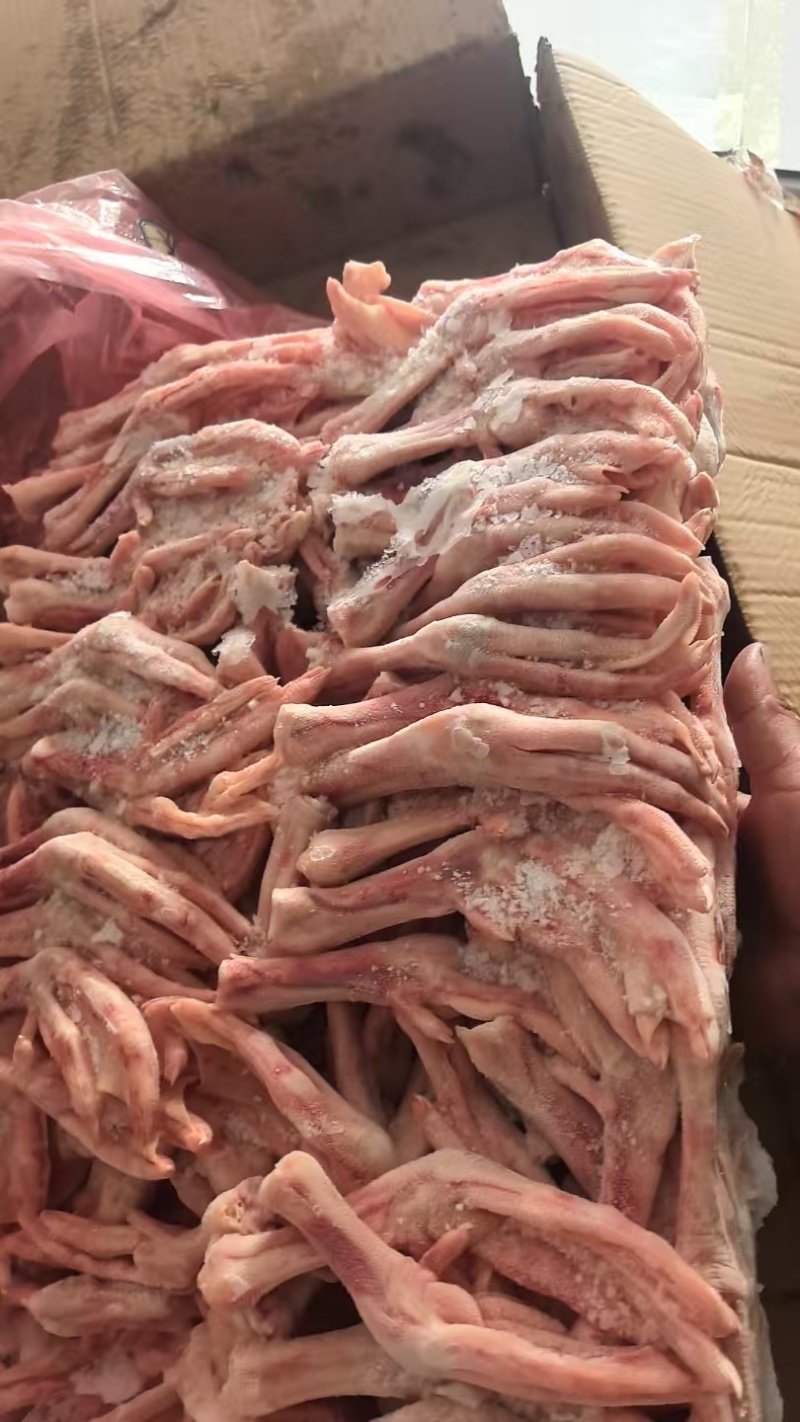 鹅掌有货，一级二级