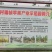 瑞雪苹果直供