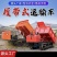 履带式翻斗车