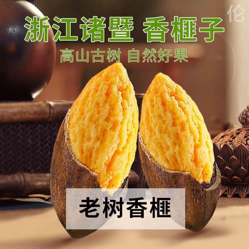 香榧子
