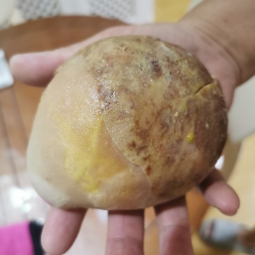 新鲜鸡宝