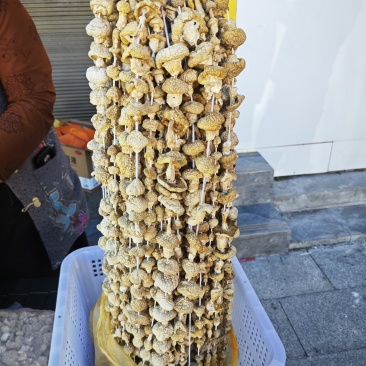 祁连山皇帝姑干品