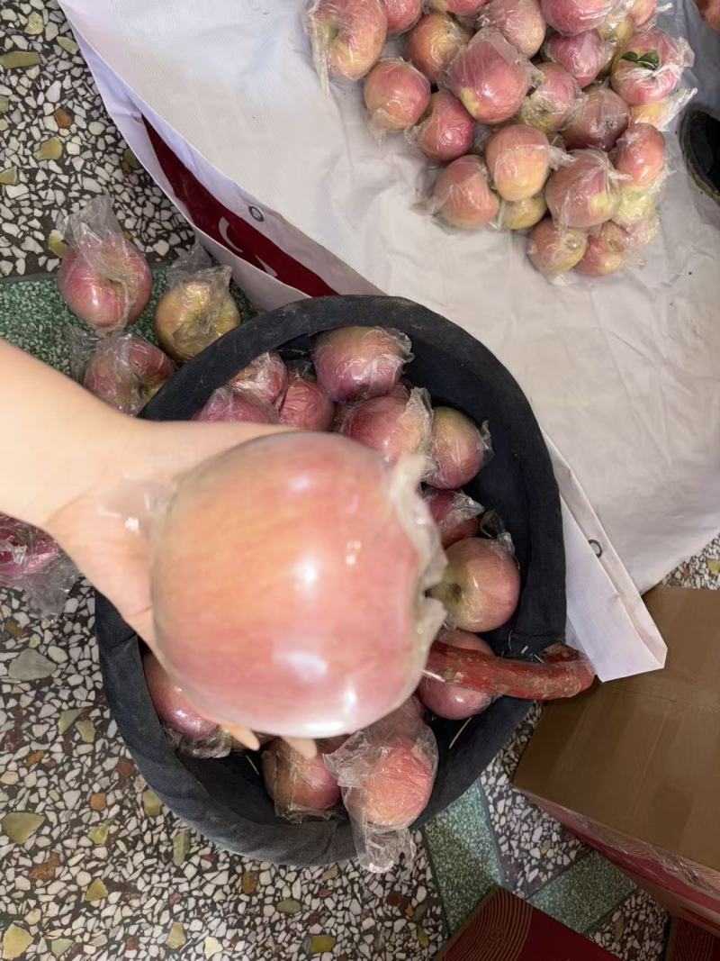礼泉富士苹果