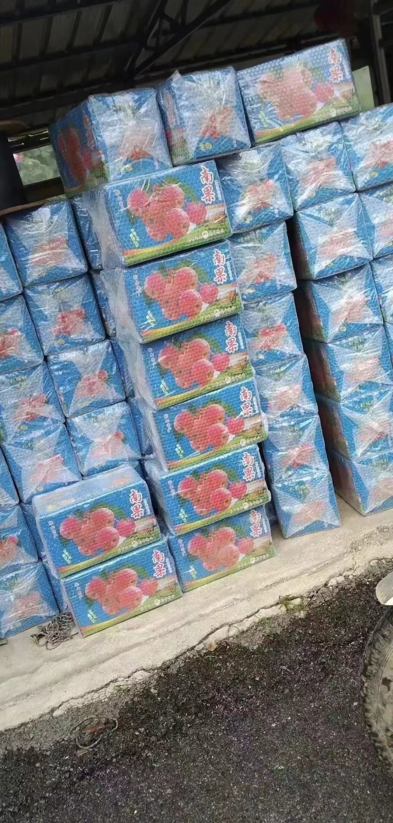 辽宁鞍山南果梨