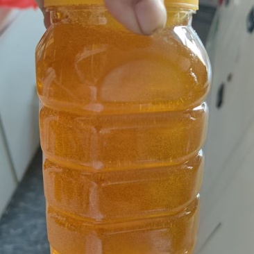 野生土蜂蜜