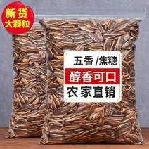 瓜子电商一件代发