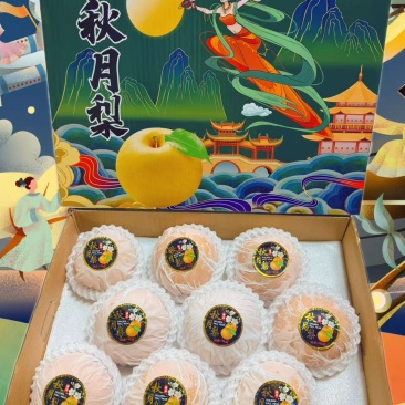 山东阳信秋月梨