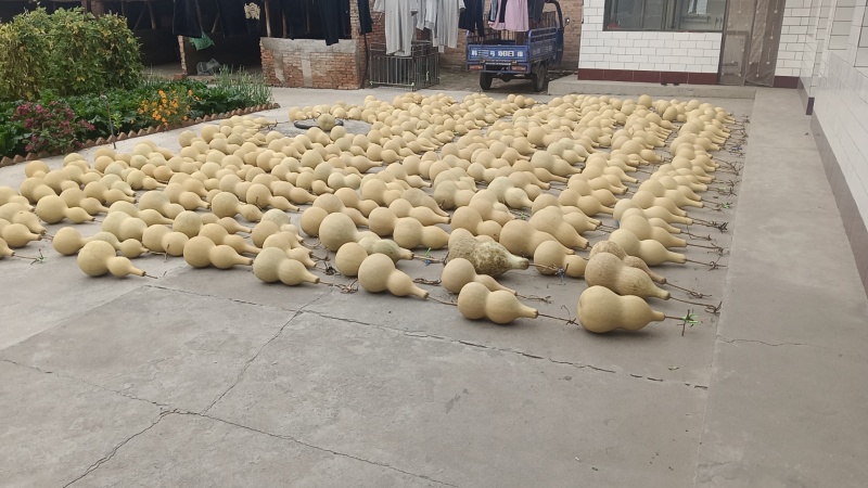 葫芦