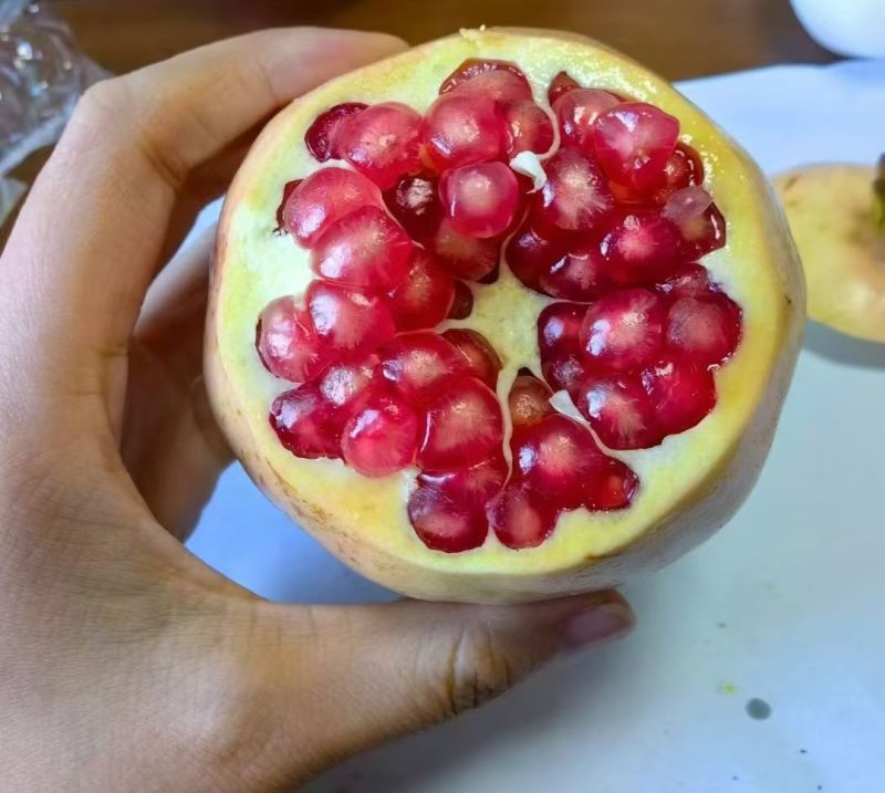 临潼石榴