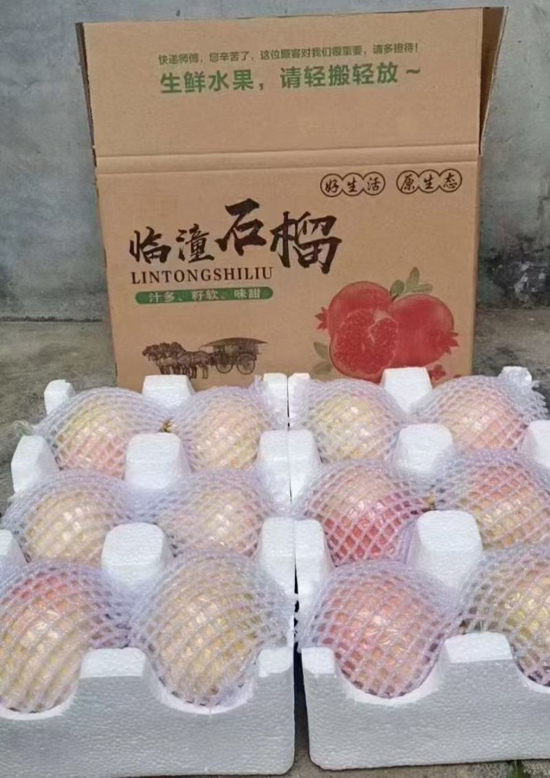 临潼石榴