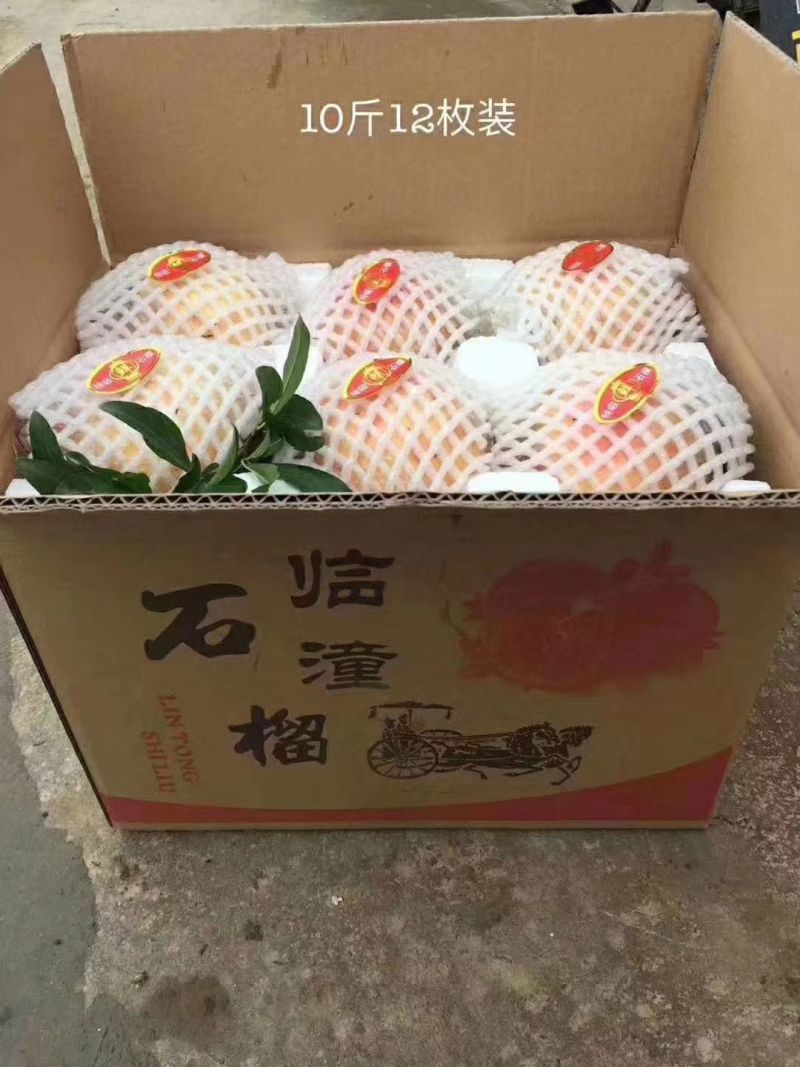 临潼石榴