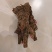 供白芍芽头，品种好，质量优，价格公道，服务周到