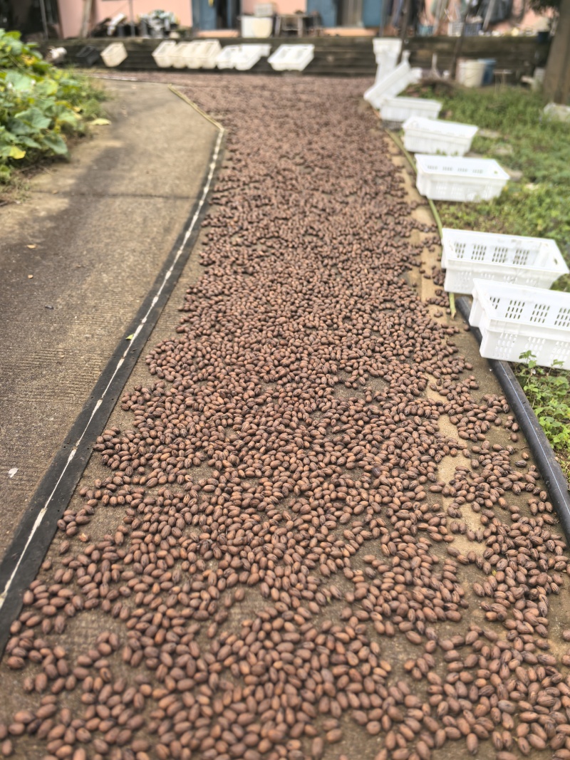 碧根果