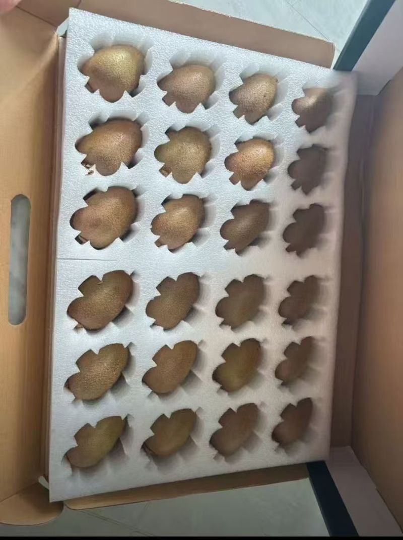 陕西铁炉猕猴桃