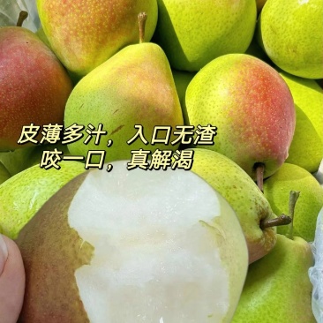 红香酥梨