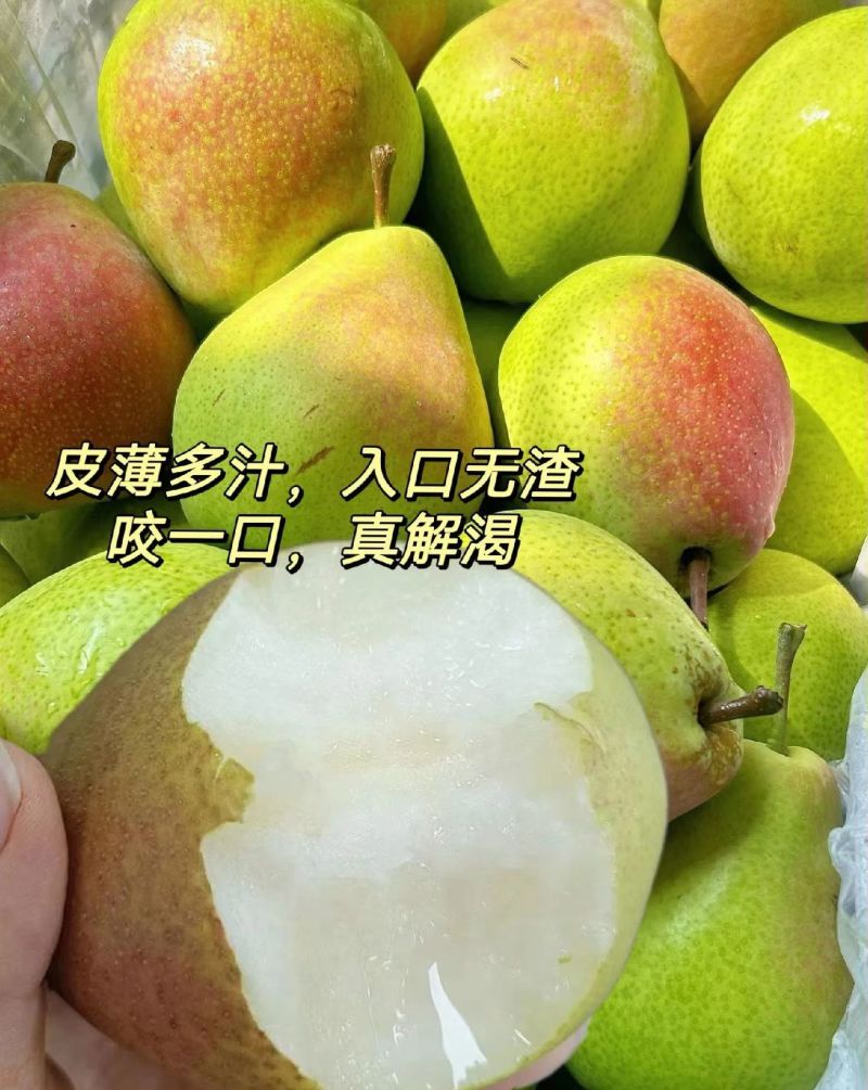 红香酥梨