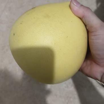 红柚