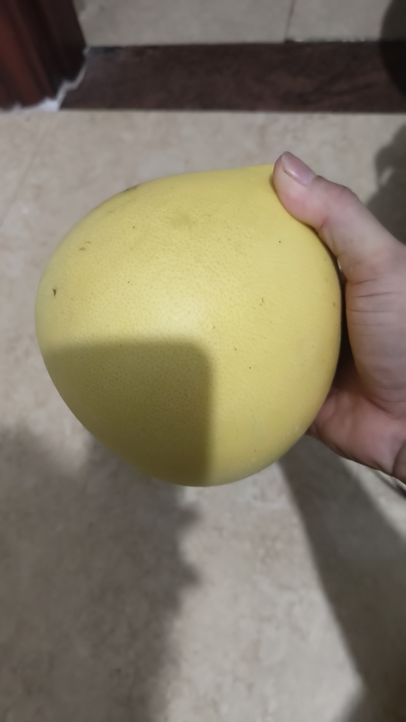 红柚