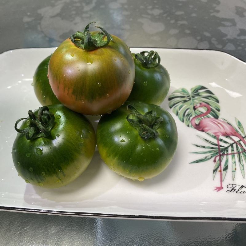 盘锦碱地柿子铁皮柿子绿腚柿子草莓柿子番茄