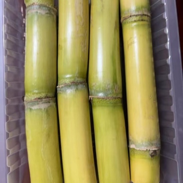 陶山甘蔗