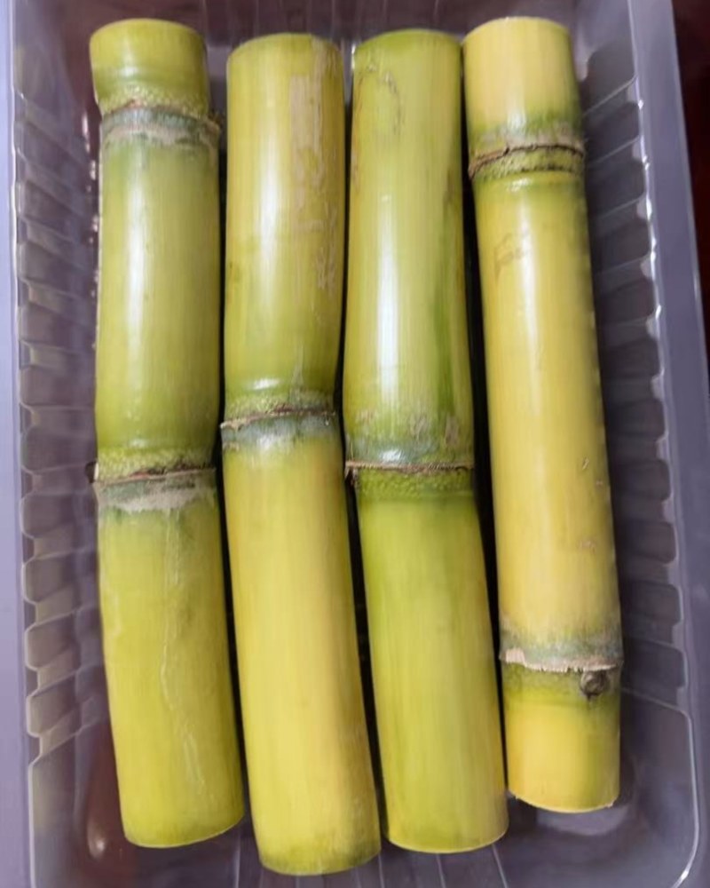 陶山甘蔗