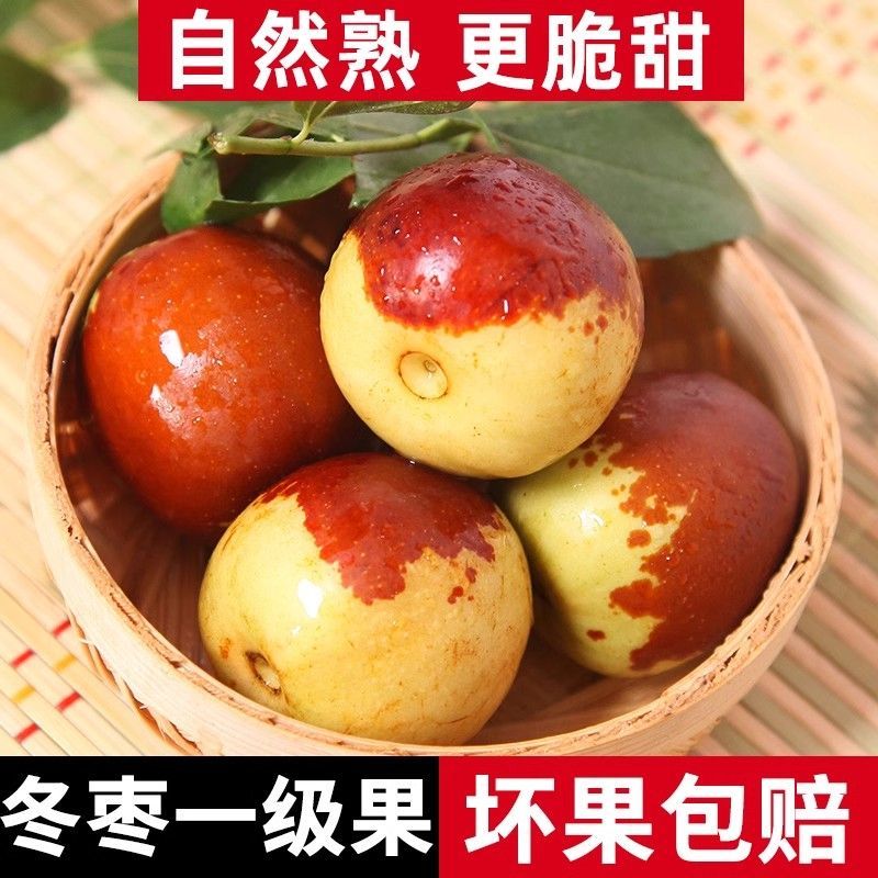 沾化冬枣，一件代发，可供任何平台，