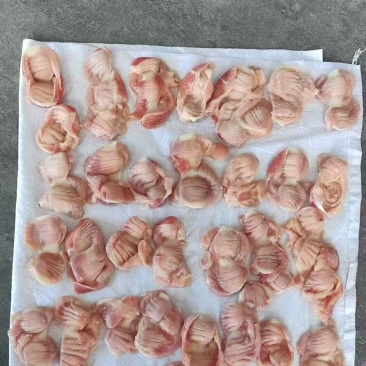 鸡胗