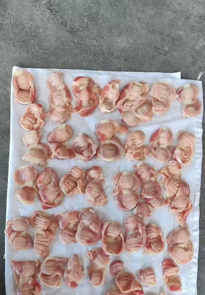 鸡胗