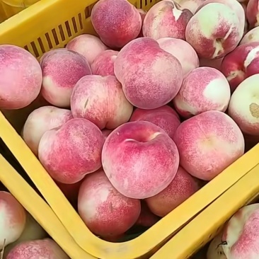 金秋红蜜桃