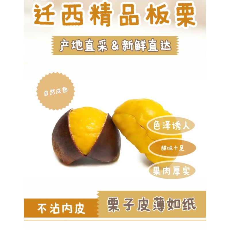 迁西3113板栗