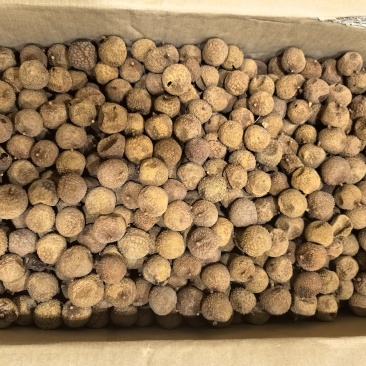 越南荔枝干，无硫烘干，品质优良