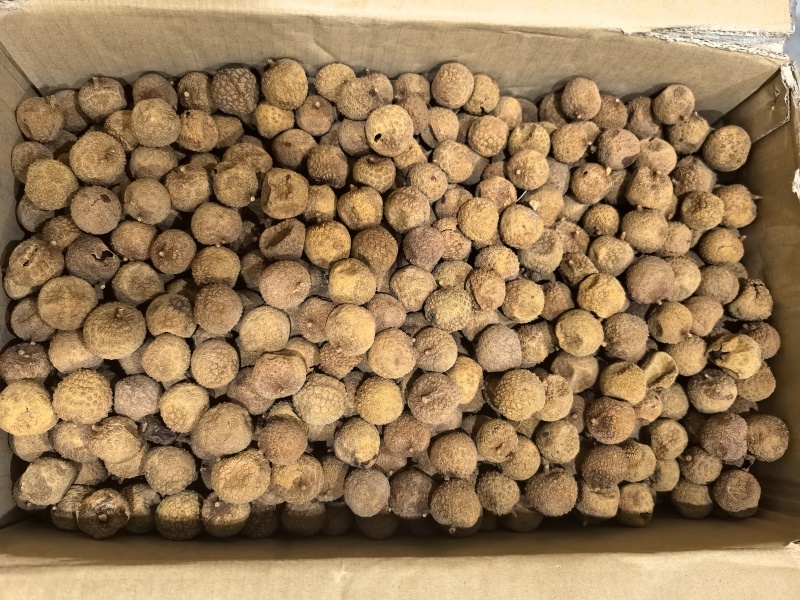 越南荔枝干，无硫烘干，品质优良
