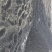 黑黄豆