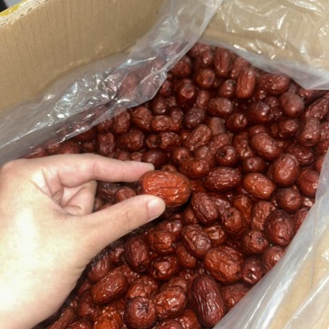 新疆免洗红枣