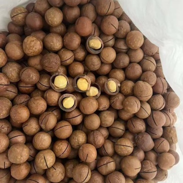 夏威夷果电商一件代发，有量的来，欢迎实地考察