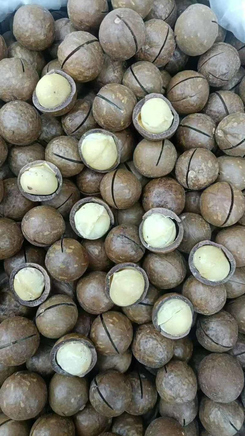 夏威夷果电商一件代发，有量的来，欢迎实地考察