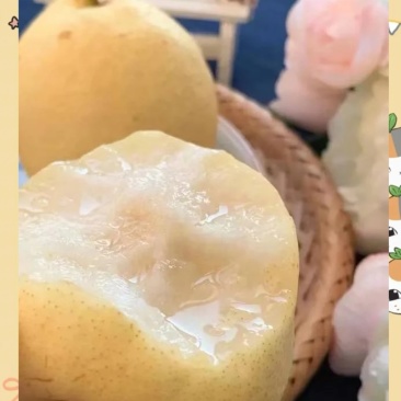 陕西蒲城酥梨