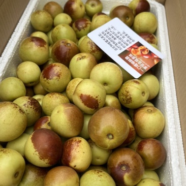 河北黄骅冬枣