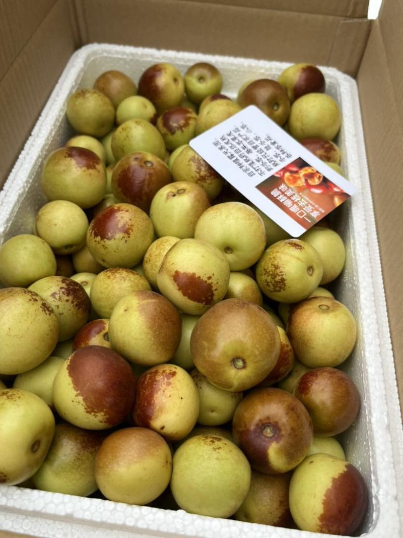 河北黄骅冬枣