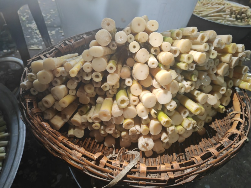 要竹笋打